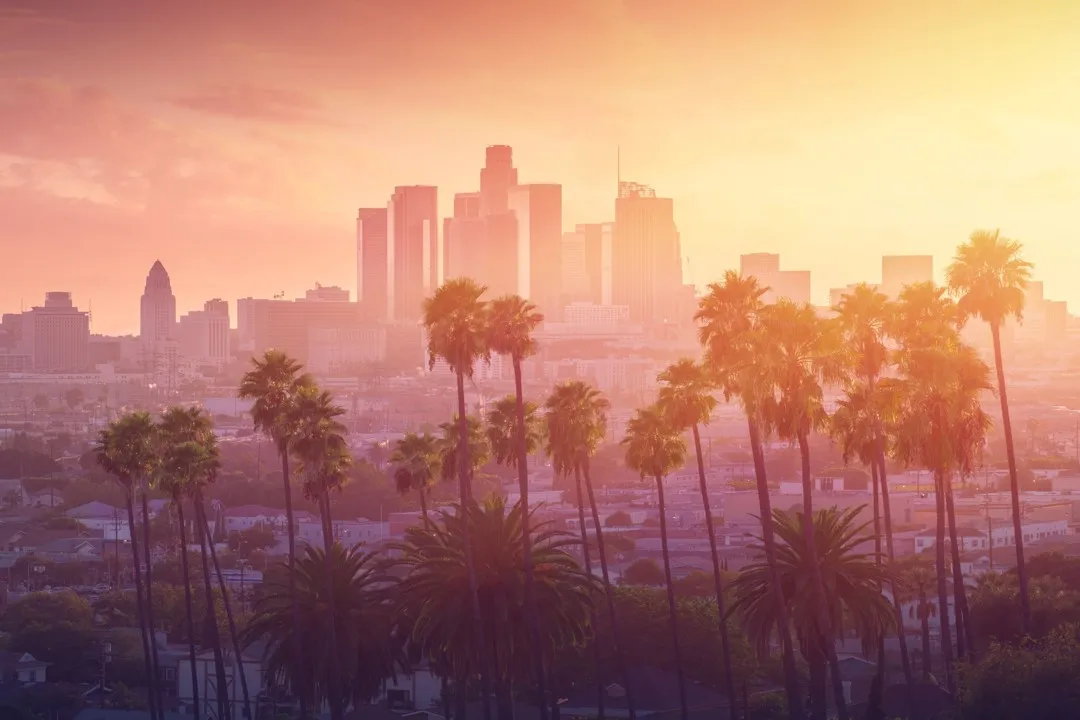 TBS Global's Los Angeles, United States office